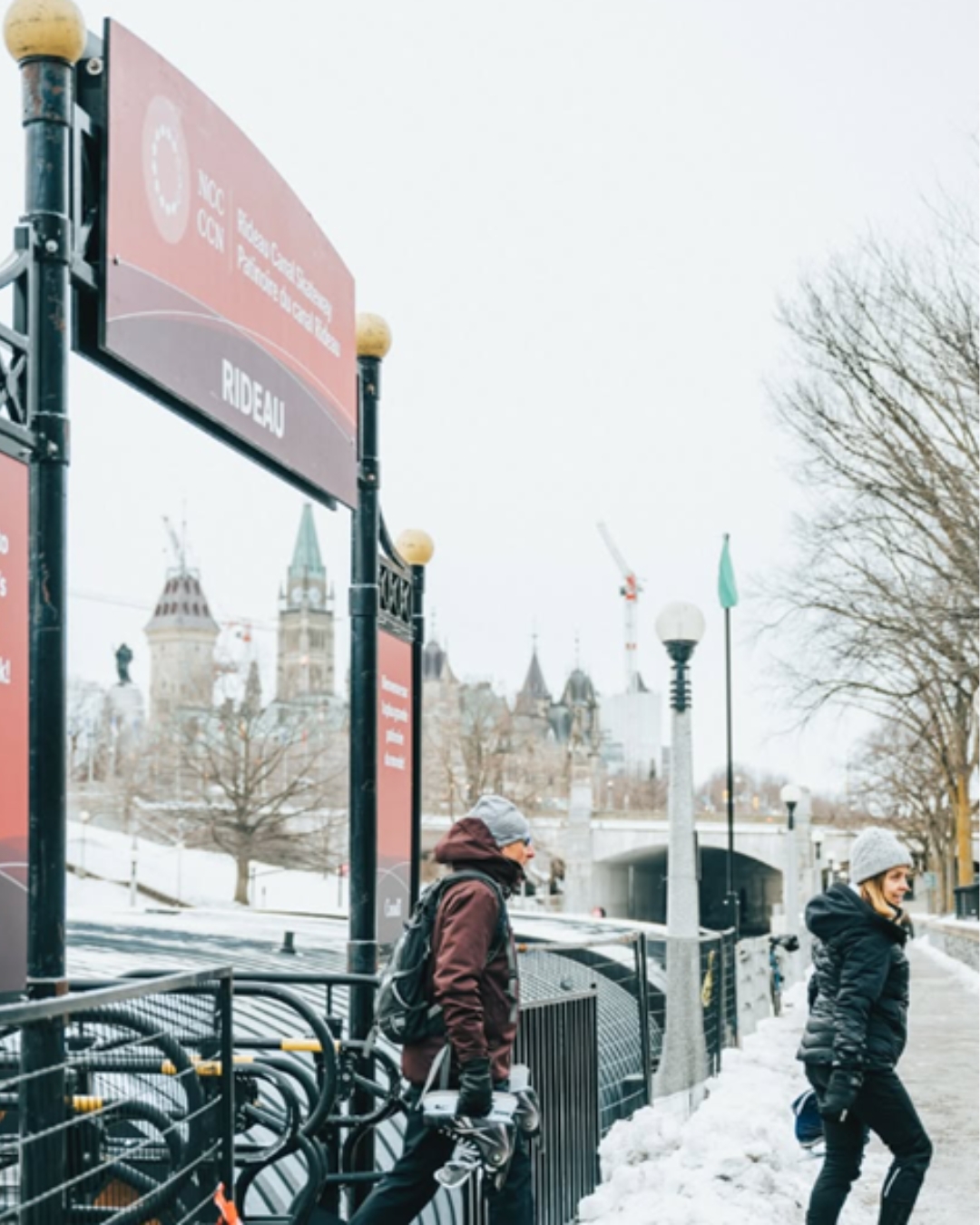 Governance and board work